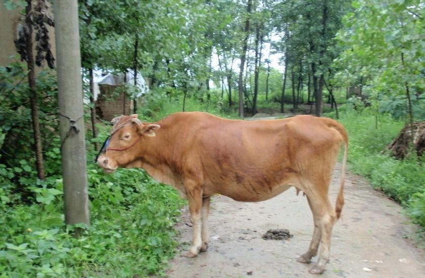 德清最新求一个套医保卡的黄牛是真的吗方法分析(最方便真实的德清求一个套医保卡的黄牛是真的吗还是假的方法)